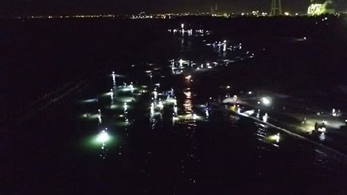 Background image for A Spring Miracle: The Firefly Squid of Toyama