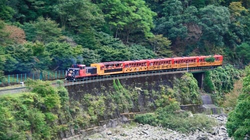 The Seeds of Success: Kyoto's Sagano Scenic Railway