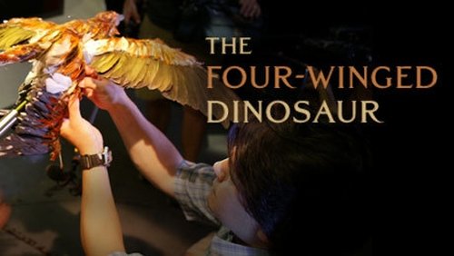 Background image for The Four Winged Dinosaur