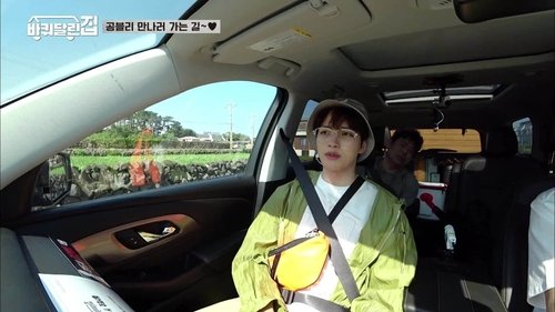 Background image for Lovely Jeju