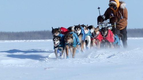 Background image for Endurance