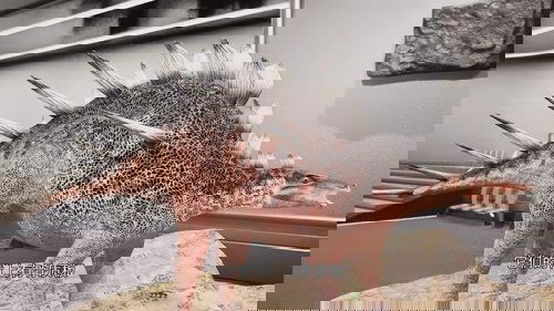 Background image for Episode 18