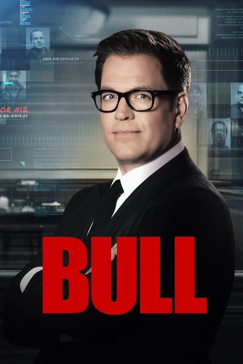 Show cover for Bull