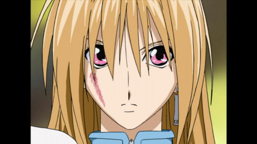 Phantom and the Zodiac Knights