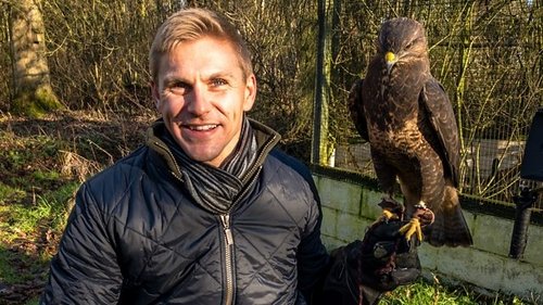 Background image for Winter Wildlife Rescue Compilation