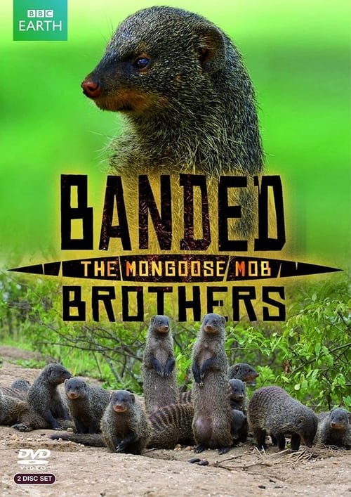 Show cover for Banded Brothers: The Mongoose Mob