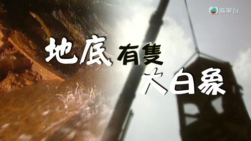 Episode 265