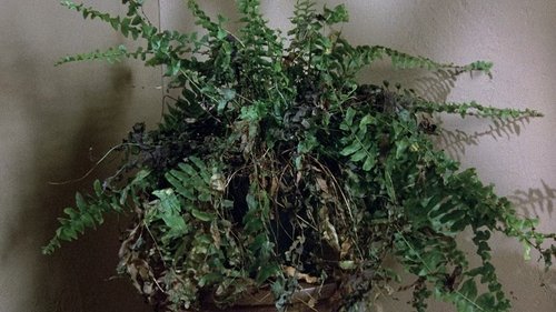 Background image for Murder Takes A Bow