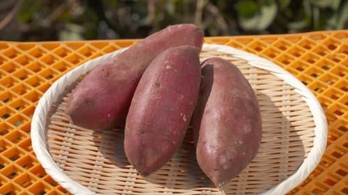 SWEET POTATO