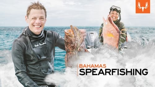 Bahamas Spearfishing