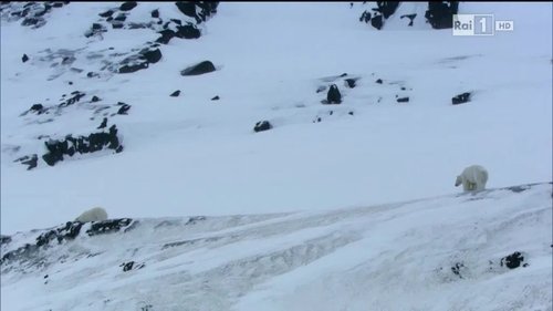 Background image for Episode 7