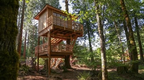 Towering Treetop Teahouse