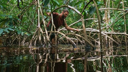 Background image for Mangrove Maze
