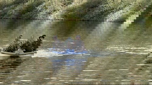 Background image for Down the Mississippi