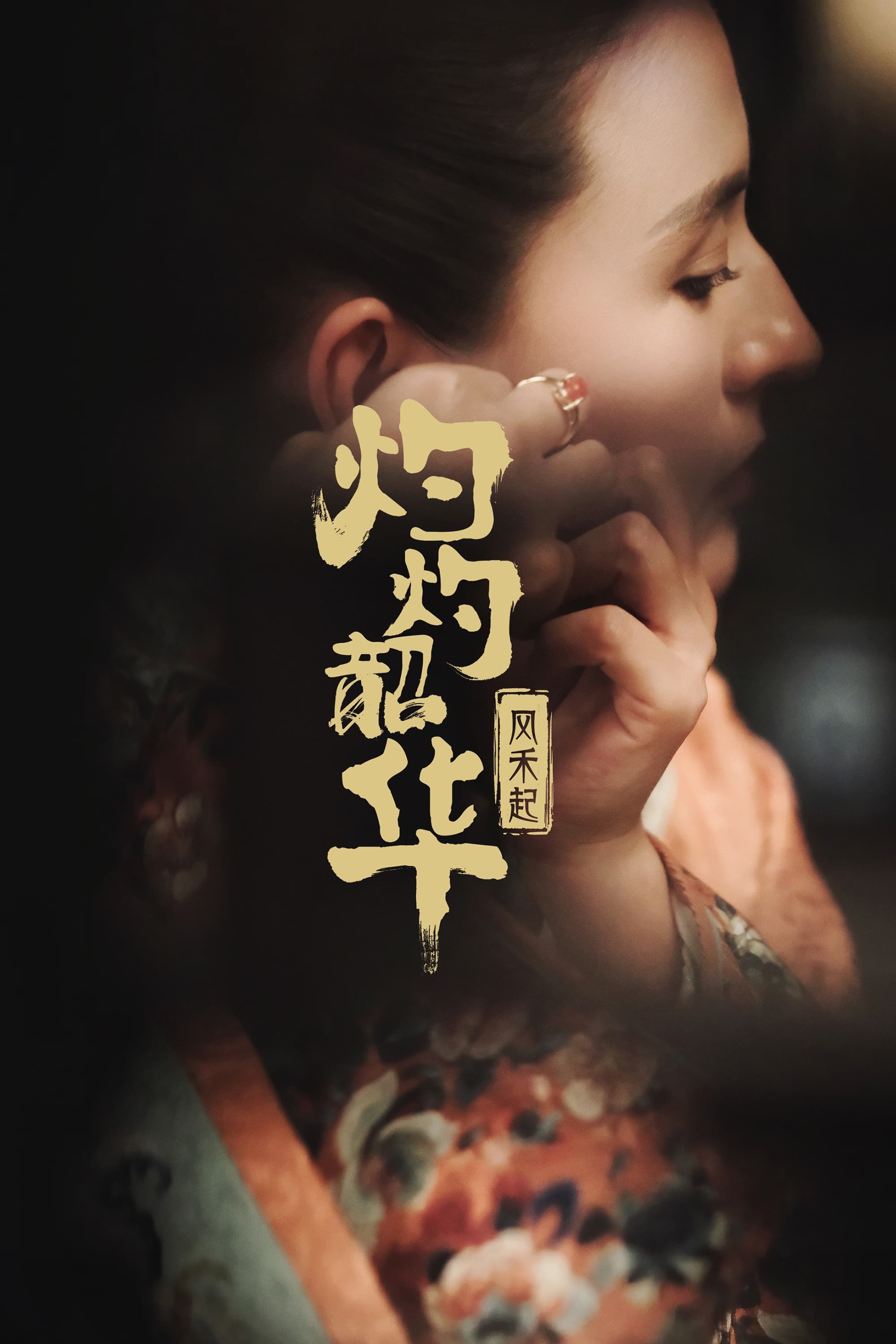 Show cover for 灼灼韶华风禾起