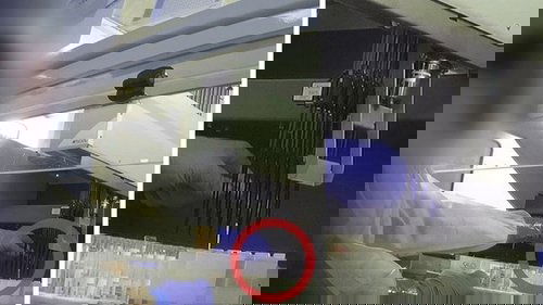 Background image for Undercover: Inside the Covid Testing Lab