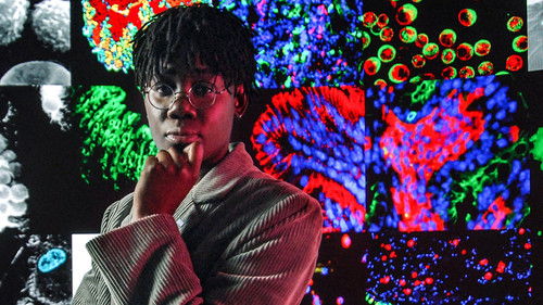 Boosting Your Immune System