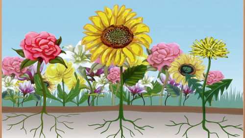 Background image for Tiny's Garden