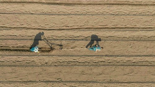 Background image for Cry and Rally