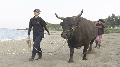 Background image for Bullfights & Big Dreams