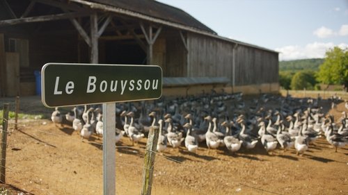 Background image for France