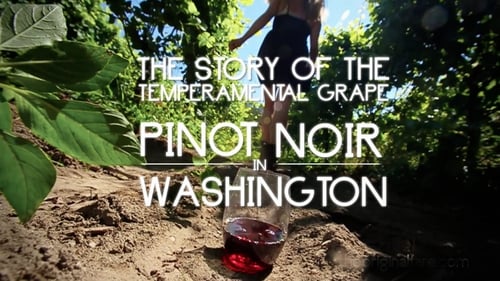 Pinot Noir in Washington