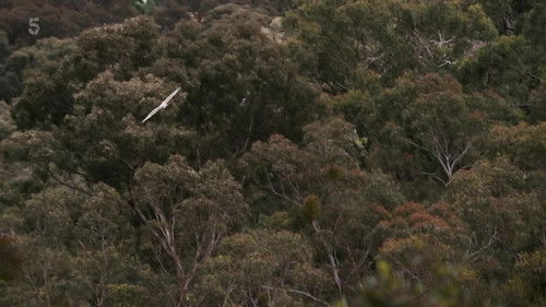 Background image for Episode 3