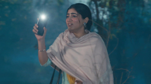 Heer's Forest Misadventure