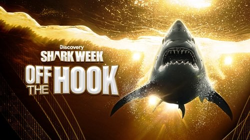 Background image for Shark Week: Off the Hook