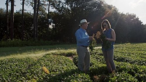Background image for The Peanut Problem