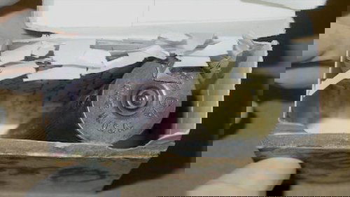 Background image for Joyride
