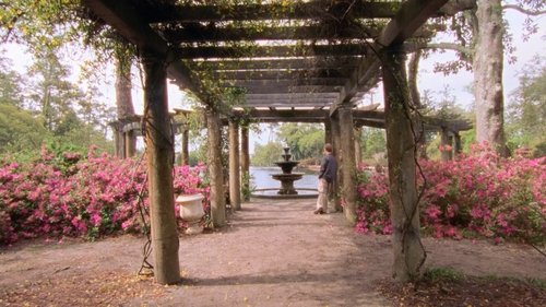 Background image for Joey Potter and the Capeside Redemption