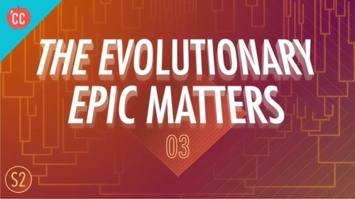 Background image for Why the Evolutionary Epic Matters