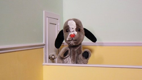 Background image for Squeaky Clean