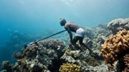 The Whale Hunters of Lamalera