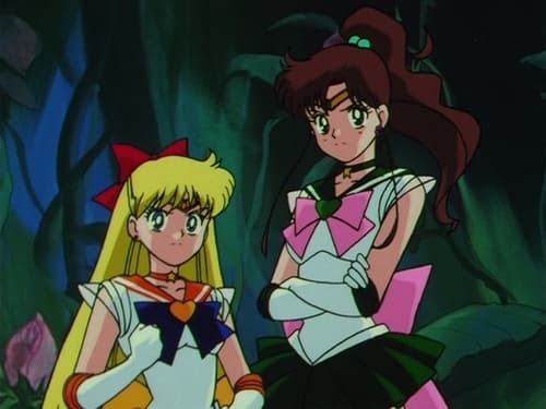 Clash of Dreams! Minako and Makoto’s Broken Friendship