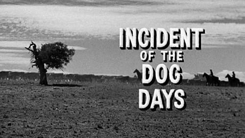 Incident of the Dog Days