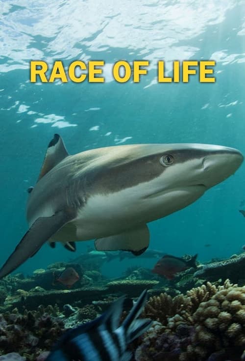 Show cover for Race of life