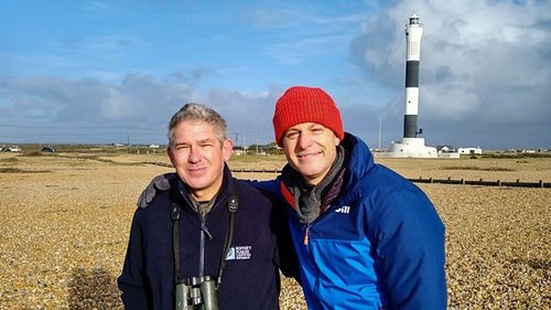 Background image for Dungeness