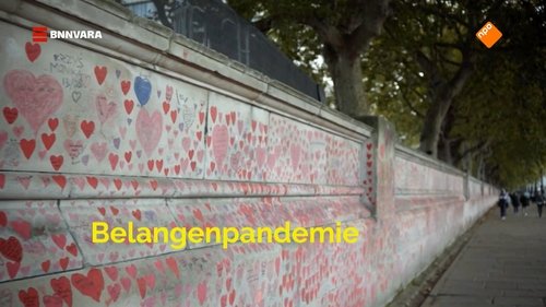 Background image for De belangenpandemie