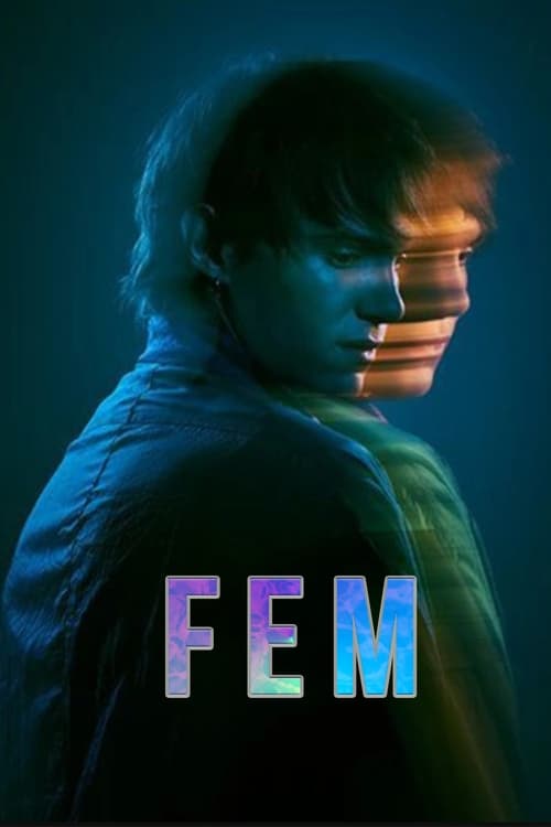 Show cover for FEM