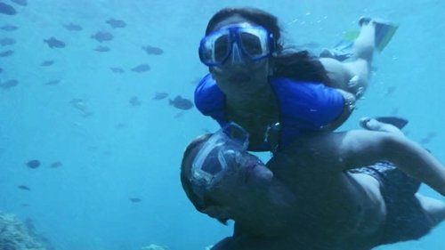 Background image for Dolphin Quest