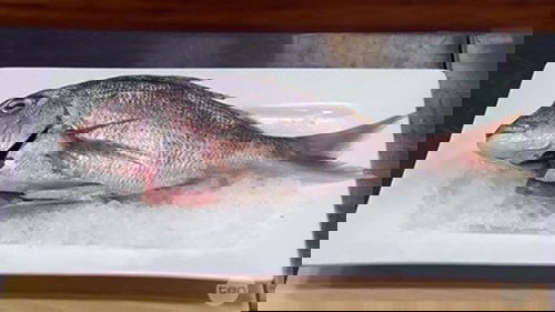 Background image for Elimination Challenge: Three Dishes from One Snapper