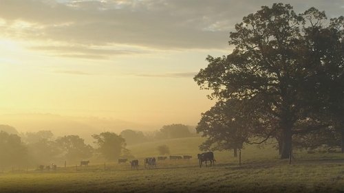 Background image for Seven Seeds Farm | Recipe: Steak au Poivre