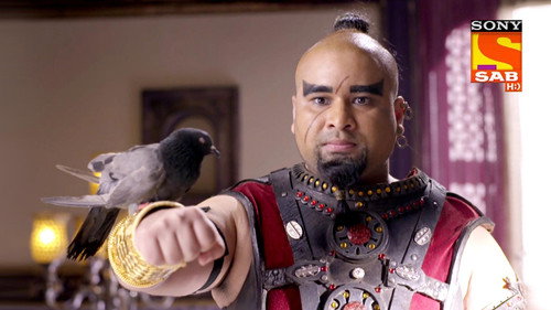 Aladdin's Problems As A Bird