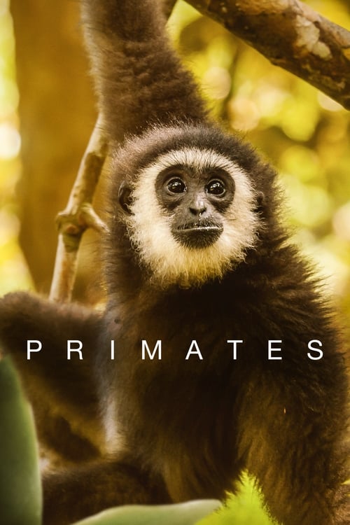 Show cover for Primates