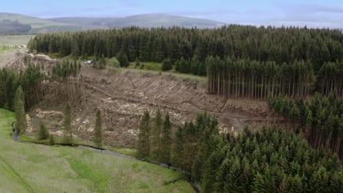 Kielder Forest to Edinburgh