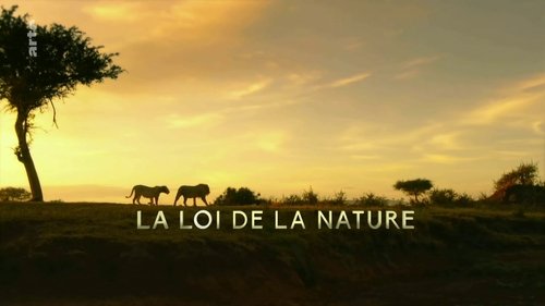 Background image for The Law of Nature