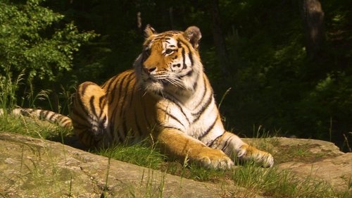 Background image for Episode 15