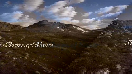 Background image for The Charms of Nature